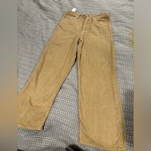 Rib Cage Straight Ankle Levi Corduroy Pants